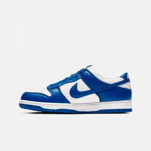 Nike SB DUNK azul y blanco CU1726-100